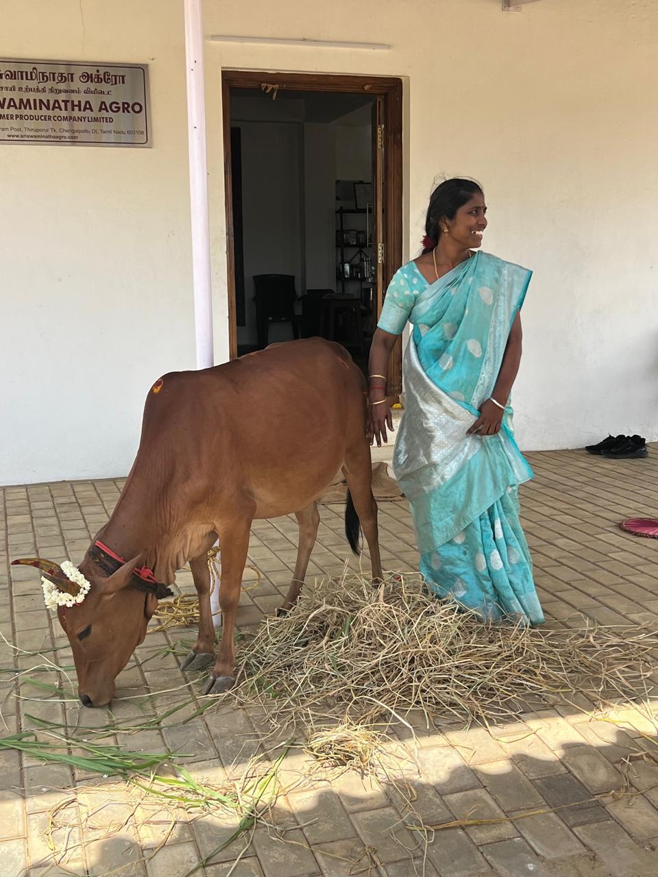 SHG & Kanchi Kuttai