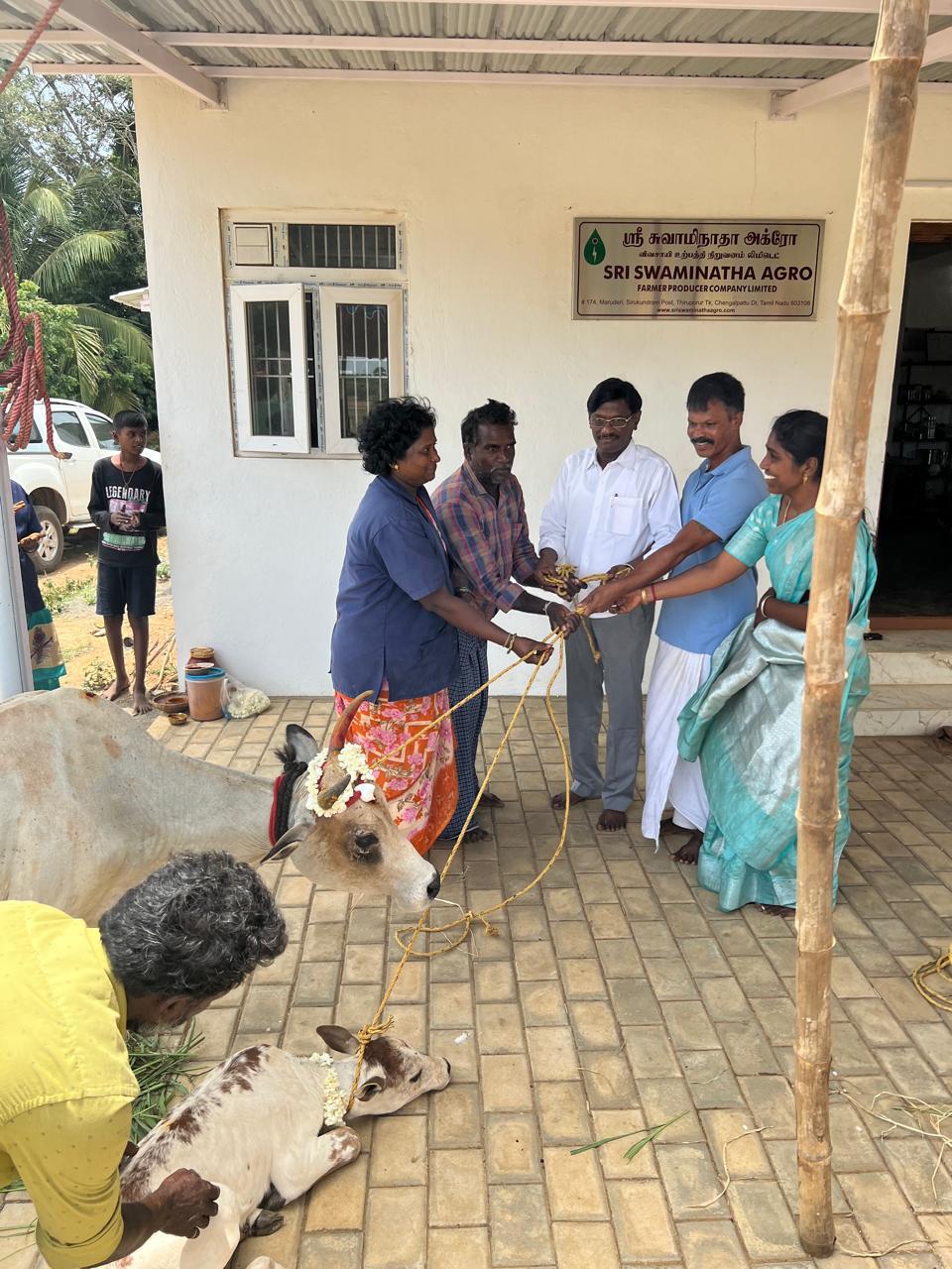 SHG & Kanchi Kuttai