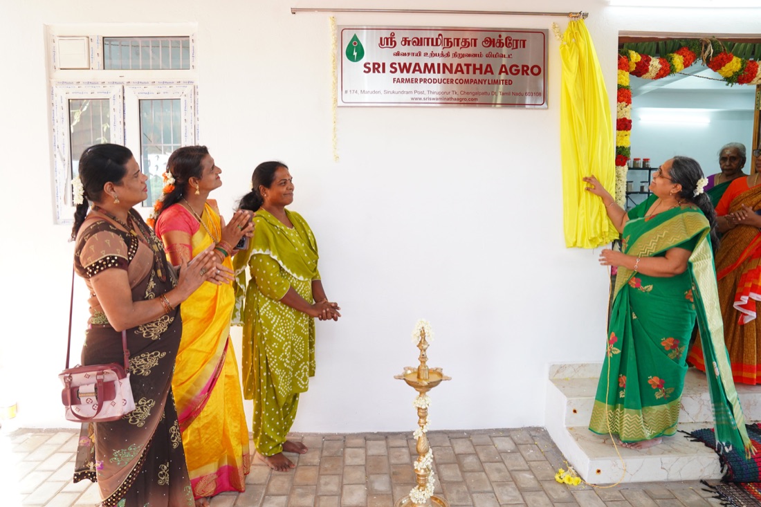 Store Opening