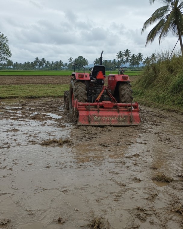 Farmers at harvest