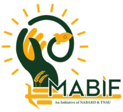 MABIF logo